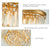11.8 In. 4-Light Gold Finish Drum Style Flush Mount with Crystal Accents and No Bulbs Included